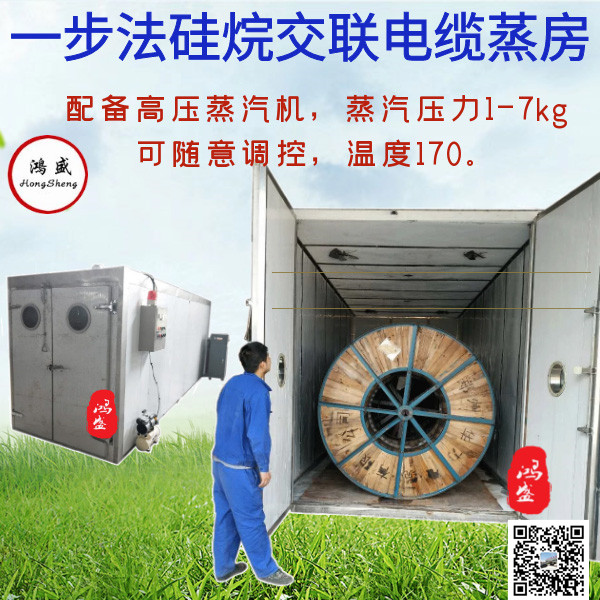 0電纜蒸房 電纜交聯(lián) (9).jpg