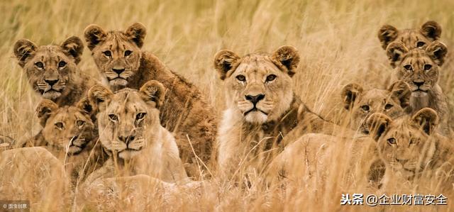 С�ϰ��ʲô��æ��ϲ�g���v�����I(y��)�s������͸����