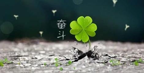 ac6eddc451da81cb9c852a1169358d1308243167.jpeg ac6eddc451da81cb9c852a1169358d1308243167.jpeg