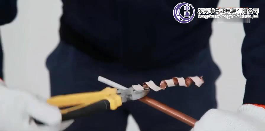 圖片2.jpg 圖片2.jpg