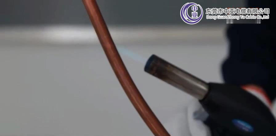 圖片6.jpg 圖片6.jpg