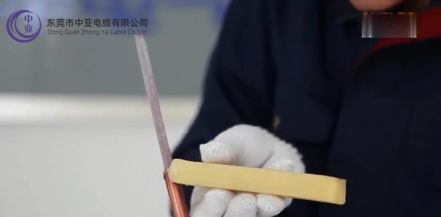 圖片7.jpg 圖片7.jpg