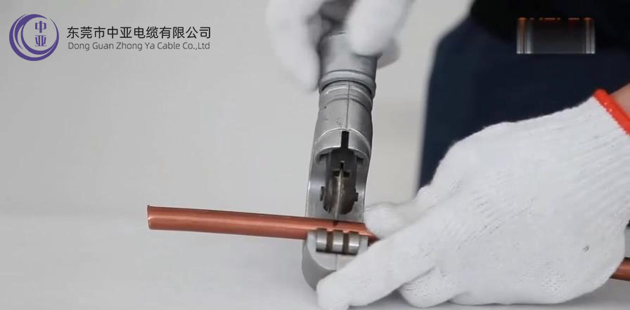 圖片11.jpg 圖片11.jpg