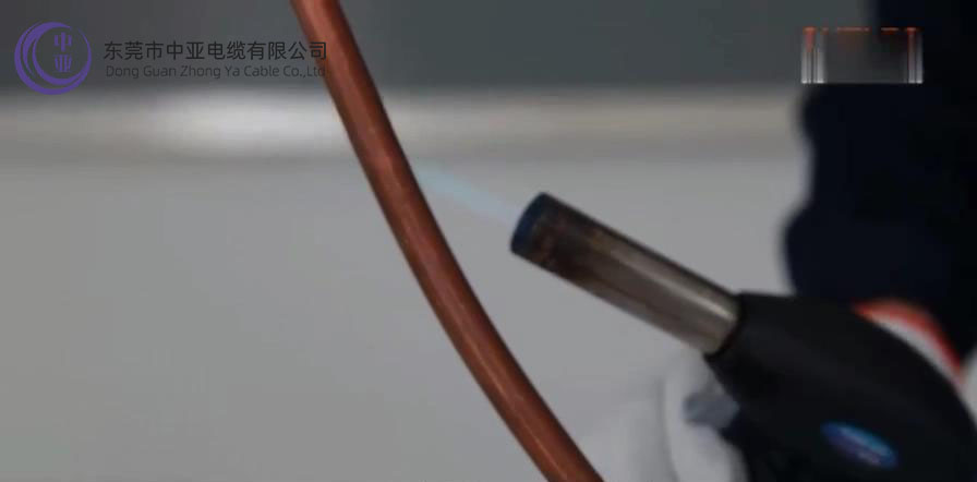 圖片15.jpg 圖片15.jpg