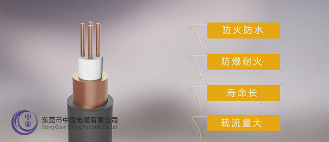 圖片 (32).jpg 圖片 (32).jpg