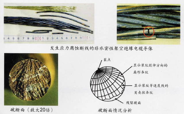 圖片.png 圖片.png