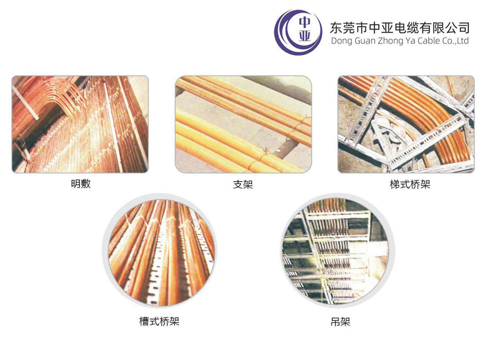 圖片1.jpg 圖片1.jpg