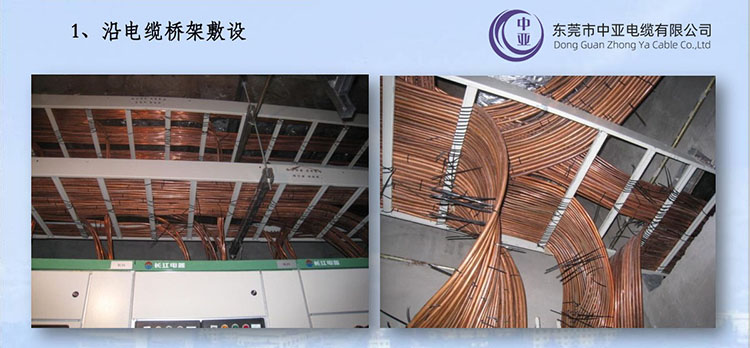 圖片1.jpg 圖片1.jpg