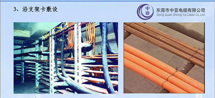 圖片3.jpg 圖片3.jpg