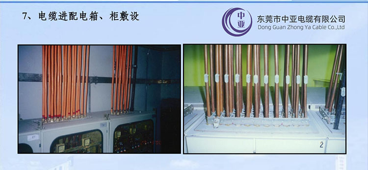 圖片7.jpg 圖片7.jpg