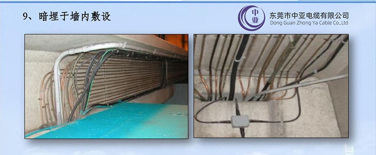 圖片9.jpg 圖片9.jpg